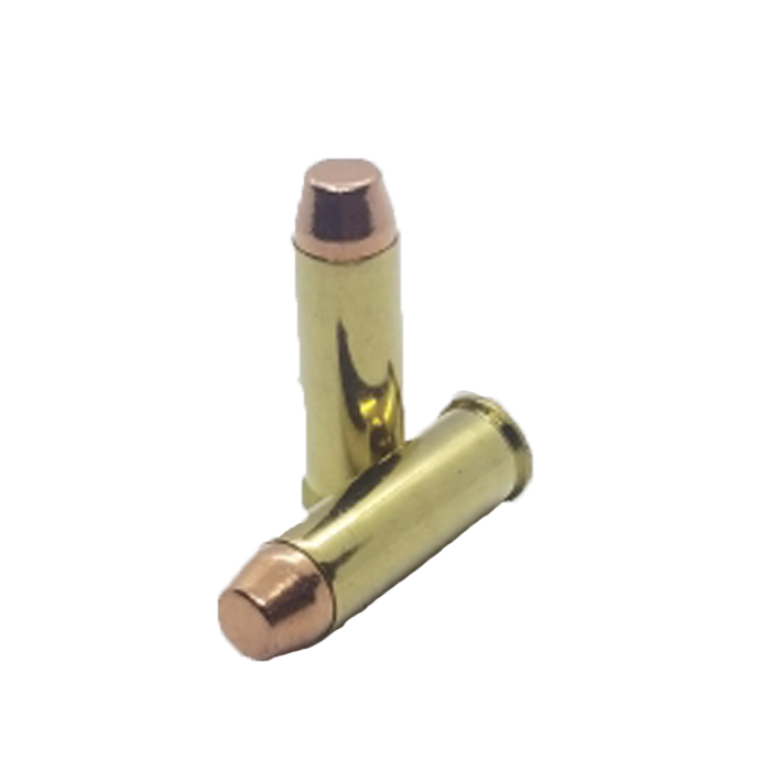 44 Magnum Tir sur cible/Entraînement