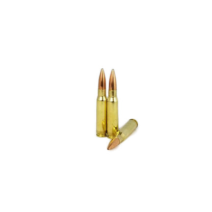 308 WIN