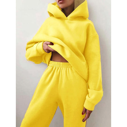 Women's Tracksuit Sweatsuit 2 Piece Street Winter Long Sleeve Fleece Thermal