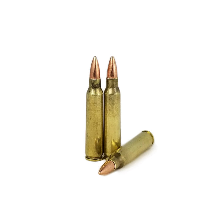 .223 Rem Tir/Entraînement