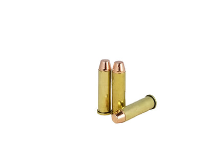 357 Magnum Tir sur cible/Entraînement