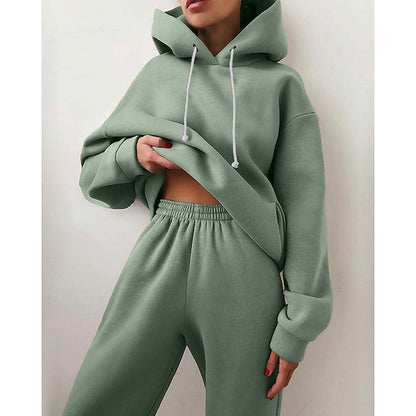 Women's Tracksuit Sweatsuit 2 Piece Street Winter Long Sleeve Fleece Thermal